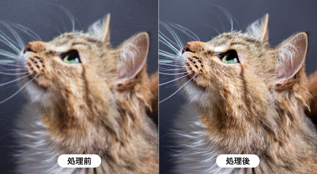 ノイズキャンセリングもA6Sだけ